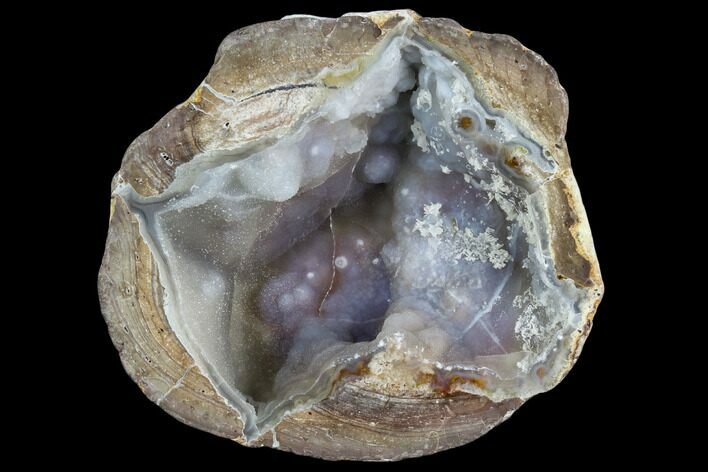 Crystal Filled Dugway Geode (Polished Half) #121718